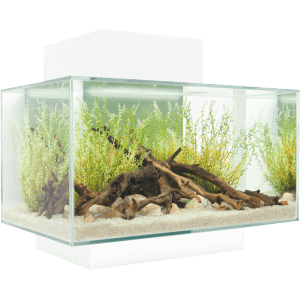 Fluval EDGE 2.0 LED Aquarium 23L-4