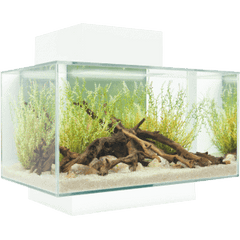 Fluval EDGE 2.0 LED Aquarium 23L-4
