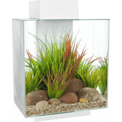 Fluval EDGE 2.0 LED Aquarium 46L-4