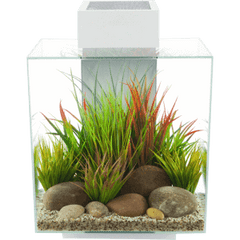 Fluval EDGE 2.0 LED Aquarium 46L-5