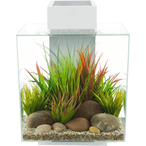 Fluval EDGE 2.0 LED Aquarium 46L-5