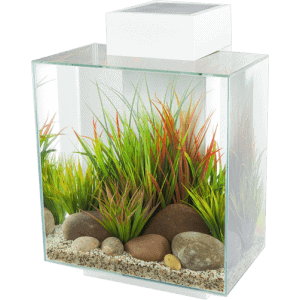 Fluval EDGE 2.0 LED Aquarium 46L-6
