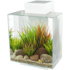 Fluval EDGE 2.0 LED Aquarium 46L-6