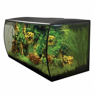 Fluval FLEX Aquarium Kit 123L-1