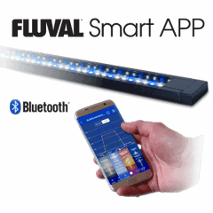 Fluval FLEX Aquarium Kit 123L-4