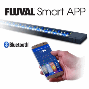 Fluval FLEX Aquarium Kit 123L-4