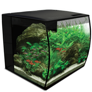 Fluval FLEX Aquarium Kit 34L-1