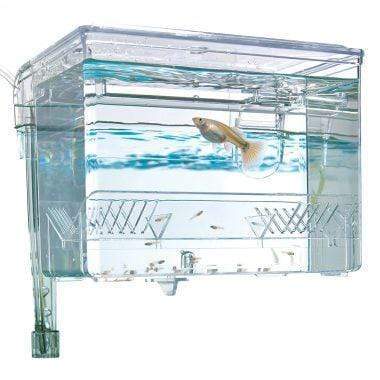 Fluval HangOn Breeding Box