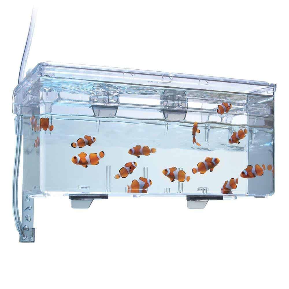 Fluval MultiChamber Holding Breeding Box-2