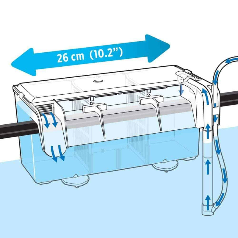Fluval MultiChamber Holding Breeding Box-4