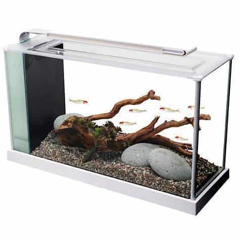 Fluval Spec 5 V2 Aquarium Kit 19L-4