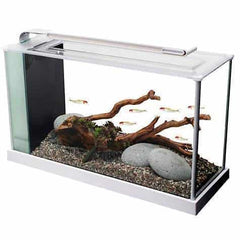 Fluval Spec 5 V2 Aquarium Kit 19L-4