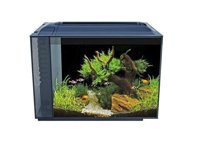 Fluval Spec XV Aquarium Black 60L-1