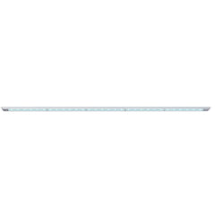 Blade Freshwater-5