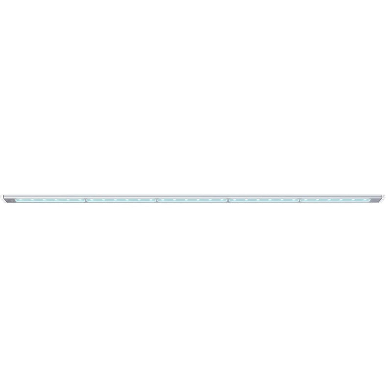 Blade Freshwater-5
