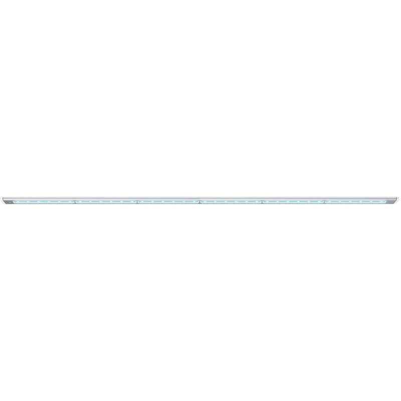 Blade Freshwater-6