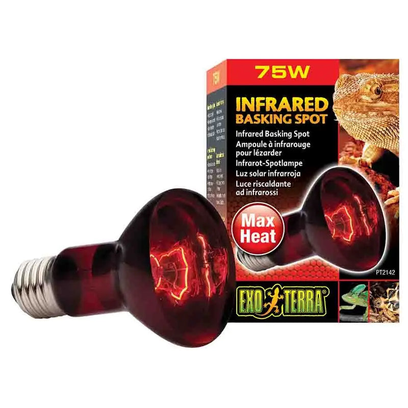 Exo Terra Heat Glo Infrared Heat Lamp 75w-1
