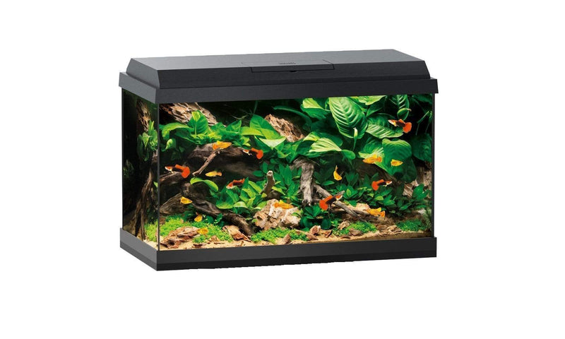 Juwel Primo 70 Aquarium-1