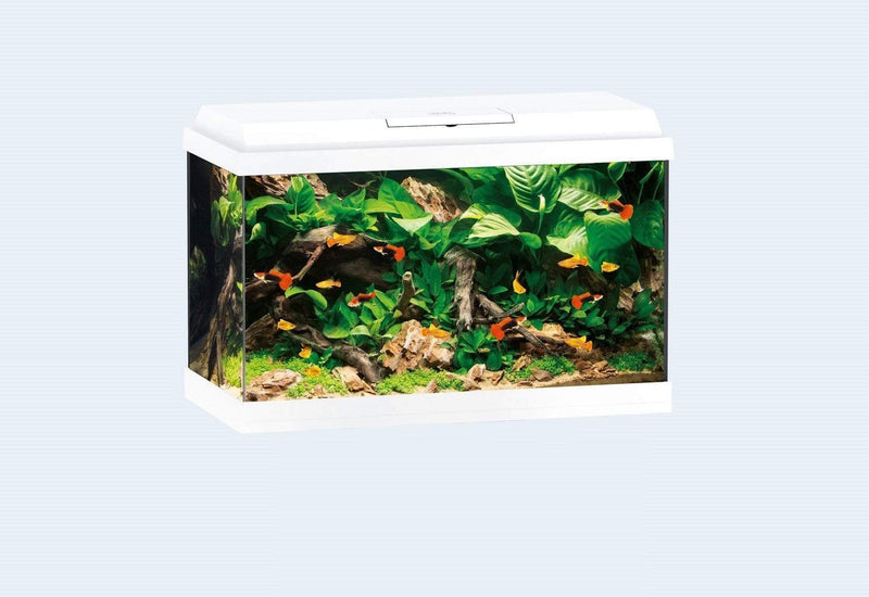 Juwel Primo 70 Aquarium-2