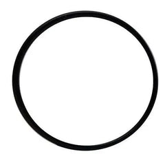Laguna Pressure-Flo Pressurized Filter UV-C Head O-Ring PT1530-1