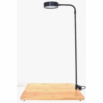 Bioscape LED Landscape Bamboo 7w-1