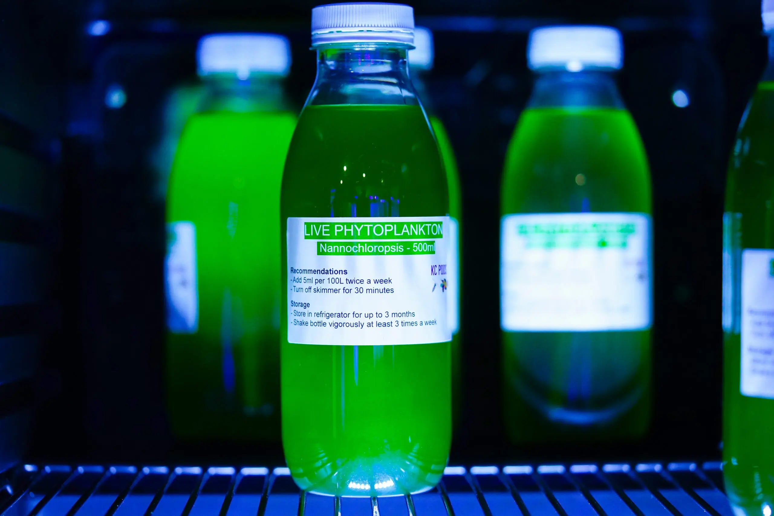Live Phytoplankton 500ml