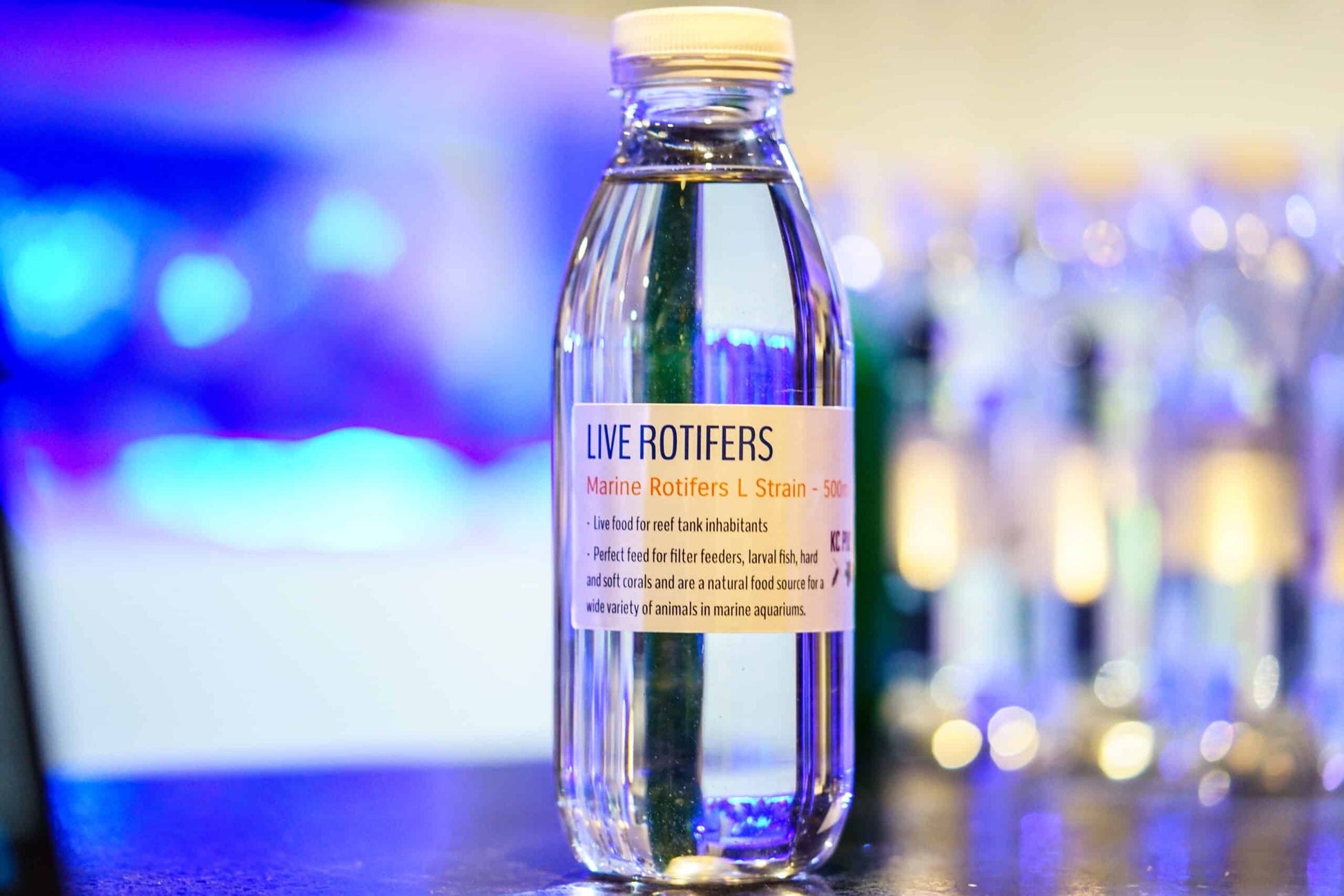 Live Rotifers-1