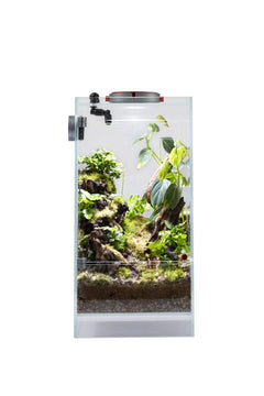 AQ-F20 Infinity Hylaea All-in-One Terrarium Kit (20x20x40cm)-1