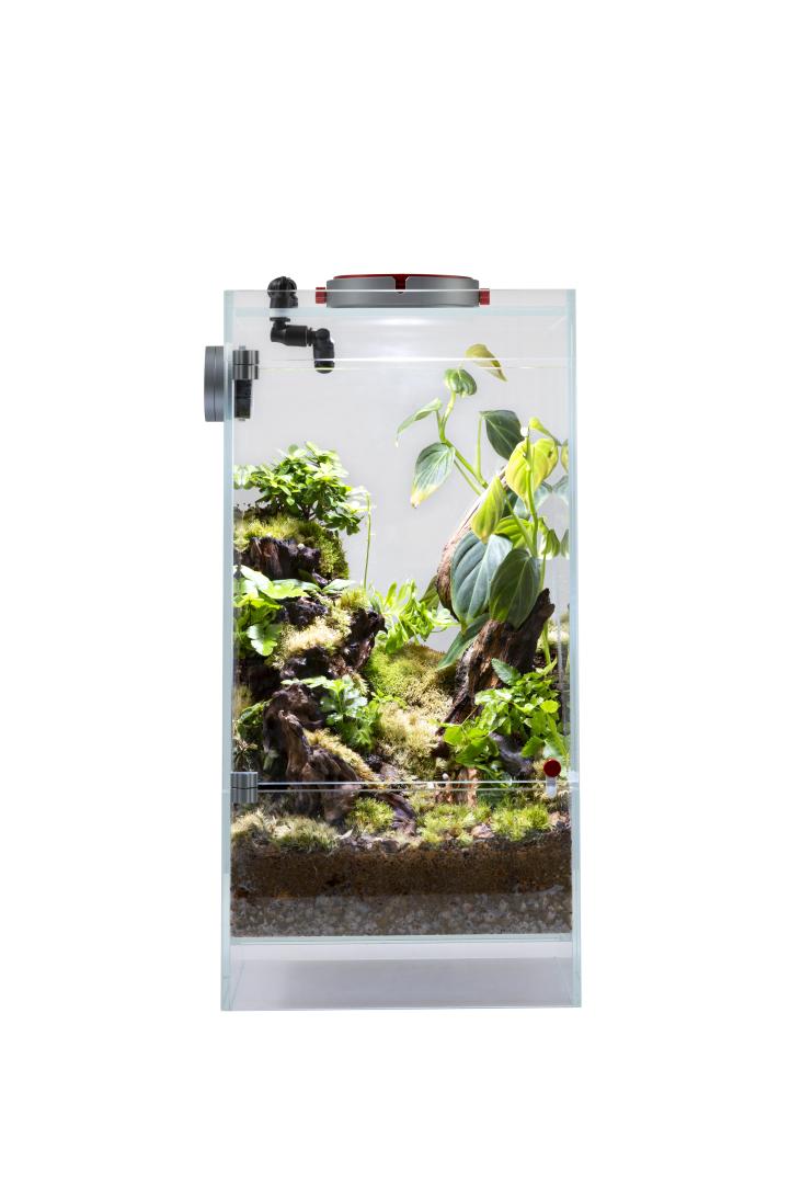 AQ-F20 Infinity Hylaea All-in-One Terrarium Kit (20x20x40cm)-1