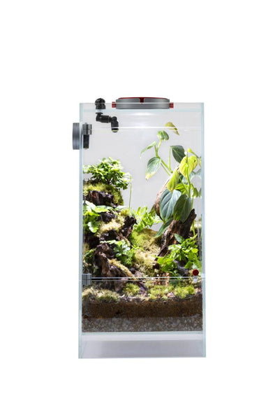 AQ-F20 Infinity Hylaea All-in-One Terrarium Kit (20x20x40cm