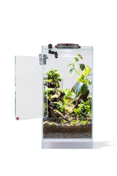 AQ-F20 Infinity Hylaea All-in-One Terrarium Kit (20x20x40cm)-2