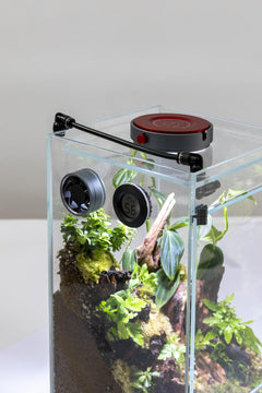 AQ-F20 Infinity Hylaea All-in-One Terrarium Kit (20x20x40cm)-3