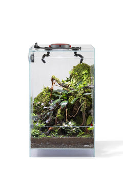 AQ-F30 Infinity Hylaea All-in-One Terrarium Kit (30x30x50cm)-1