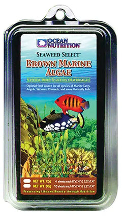 Brown Seaweed 30g-1