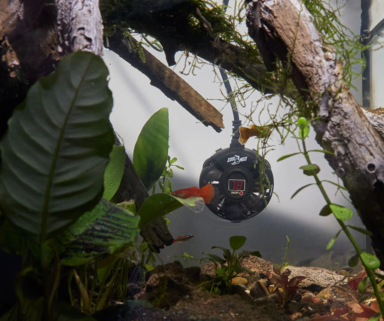 Zoo Med Paludarium Heater 100w-2
