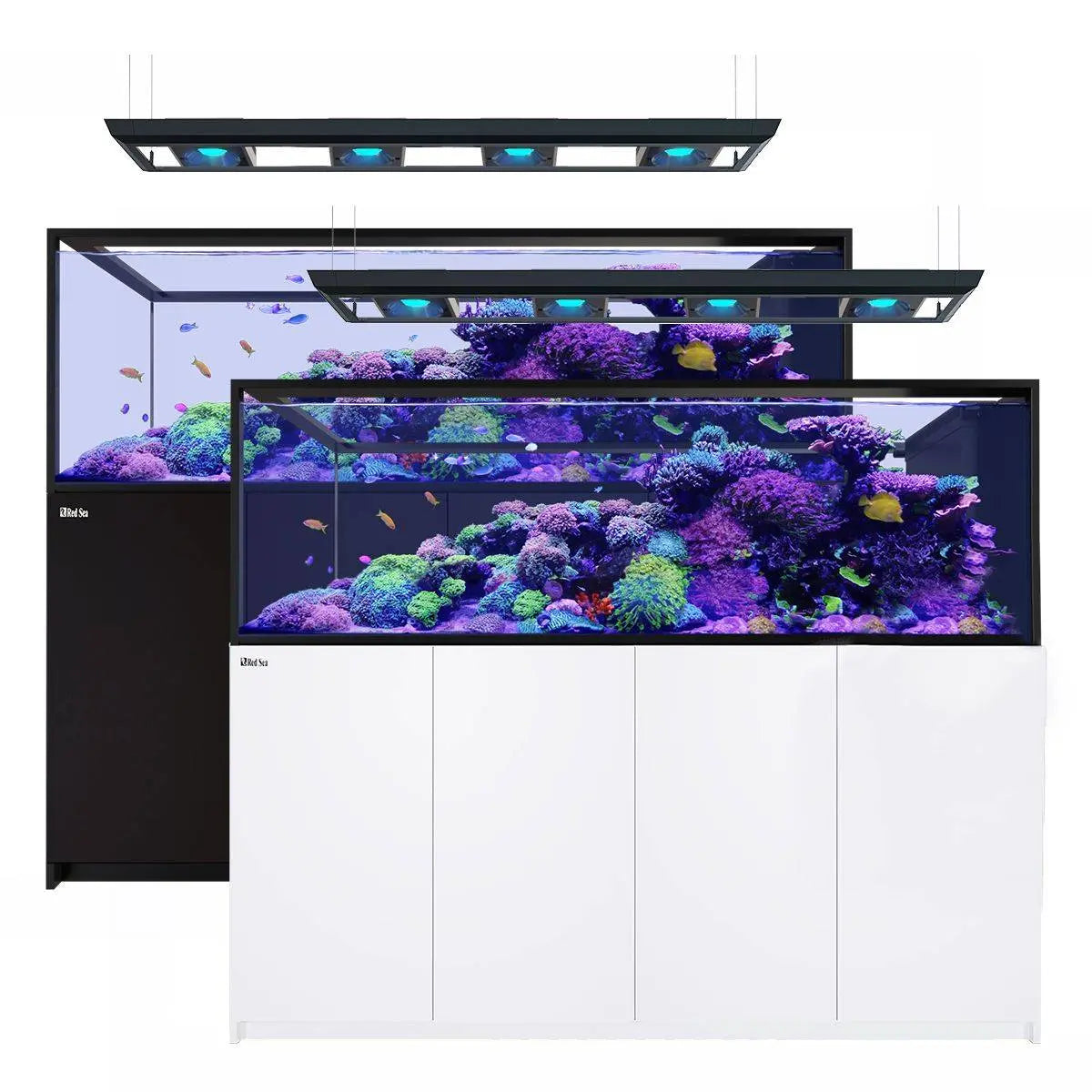 Red Sea Reefer Peninsula S-950 G2+/Deluxe/Max-2
