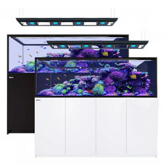 Red Sea Reefer Peninsula S-950 G2+/Deluxe/Max-2