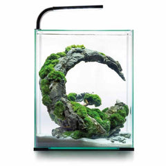 Aquael Shrimp Set Day & Night 30 Black-1