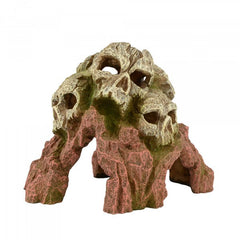 Bioscape Tripe Skull Mountain 18 x 14cm-1