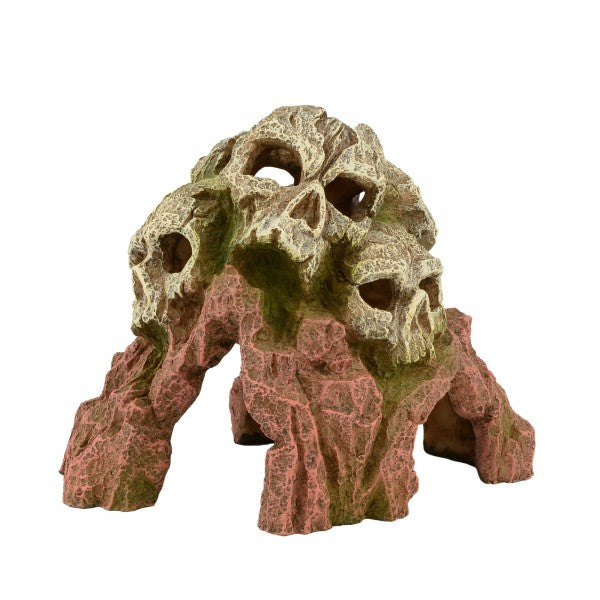 Bioscape Tripe Skull Mountain 18 x 14cm-1