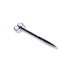 Straight Scissors 25cm-1