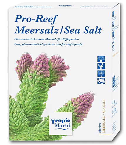 TM Seasalt-4