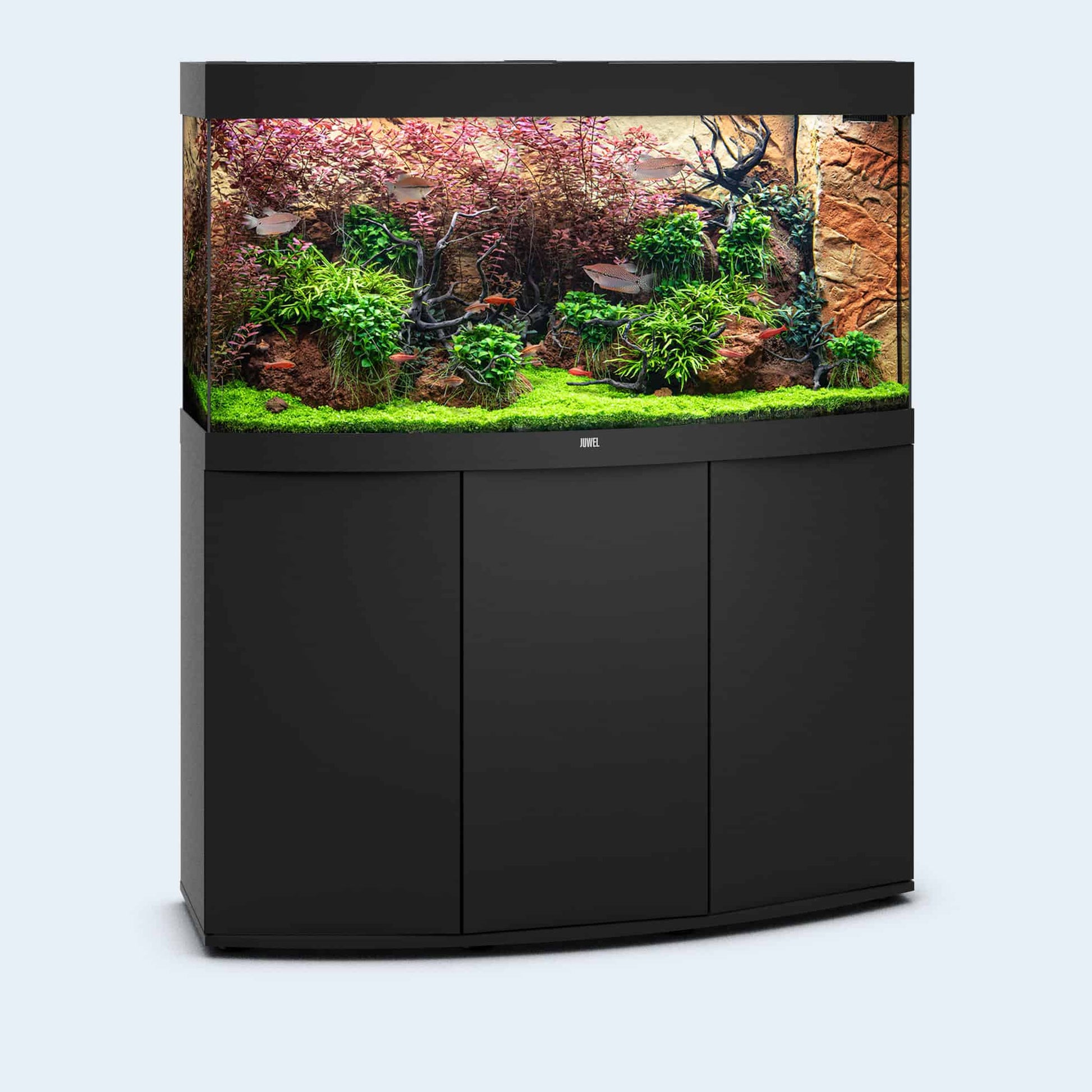 Juwel Vision 260 LED Aquarium Black-1